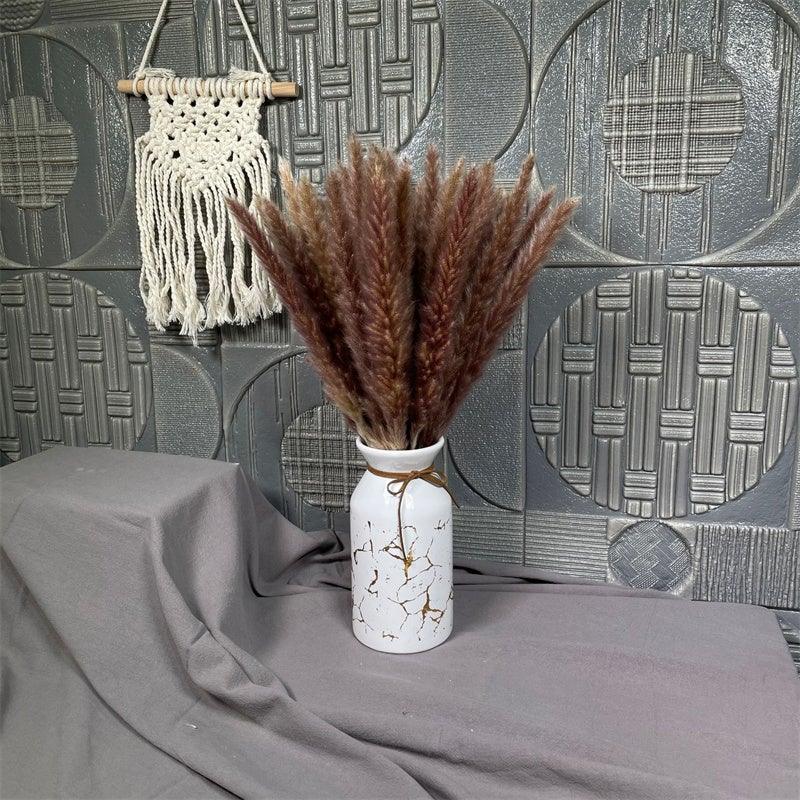 Natural dried pampas grass stems in a white crackle vase, Stevvex dried flowers decor on Tampa Home & Garden Store