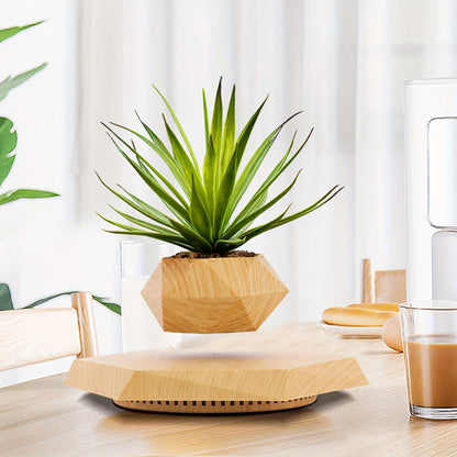 Magnetic Levitating Plant Pot – Rotating Floating Geometric Bonsai Planter Indoor