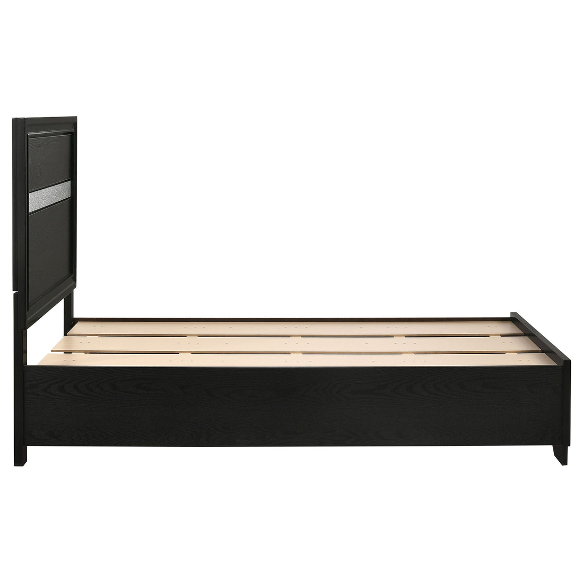 Urbana storage panel bed by HouseOfZazla in black with paneled headboard on Tampa Home & Garden Store