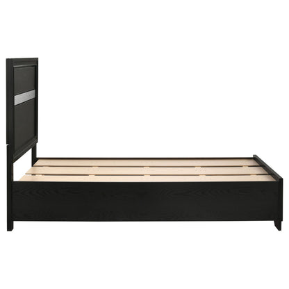 Urbana storage panel bed by HouseOfZazla in black with paneled headboard on Tampa Home & Garden Store
