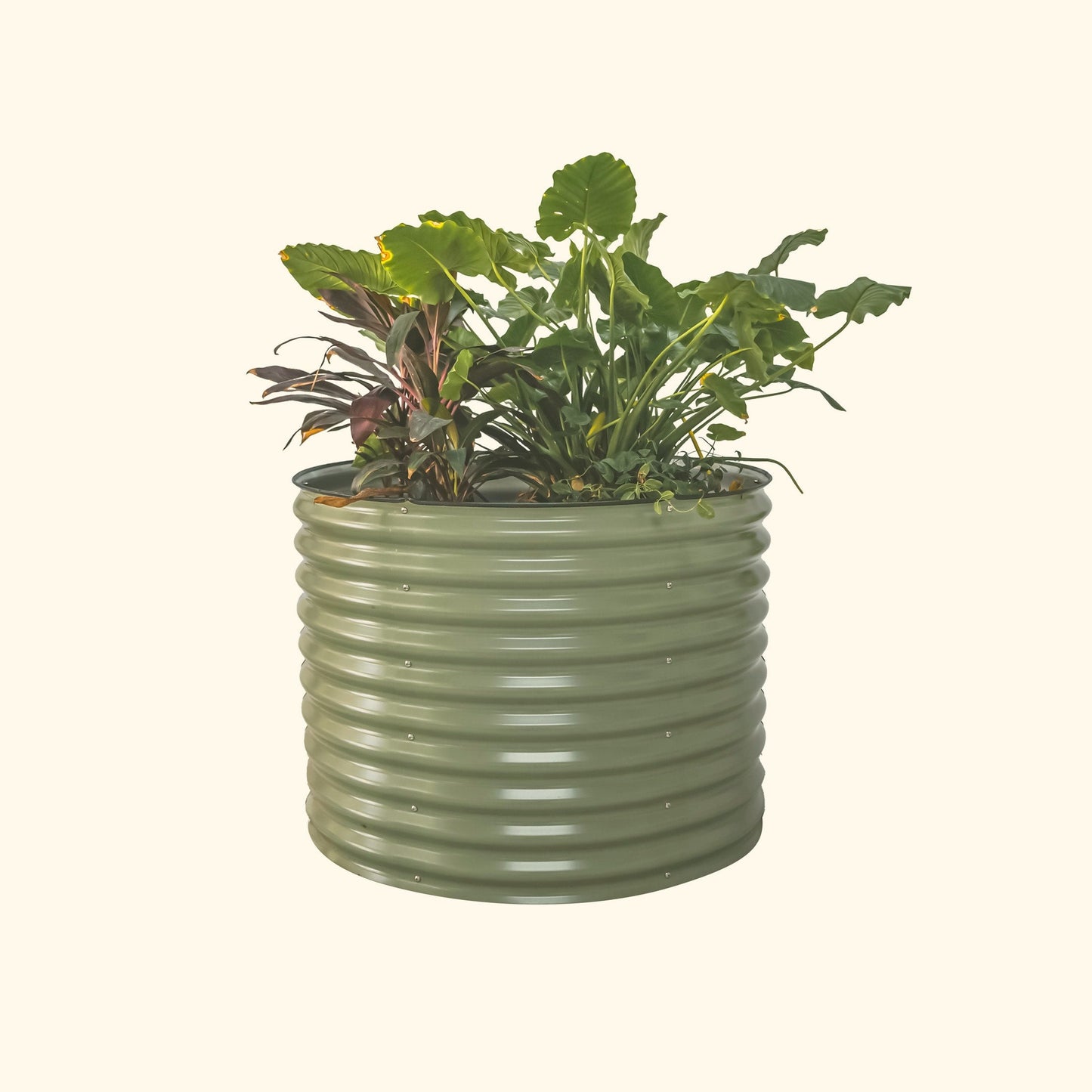 32" Tall 42" Round Raised Garden Bed Metal - Tampa Home & Garden Store
