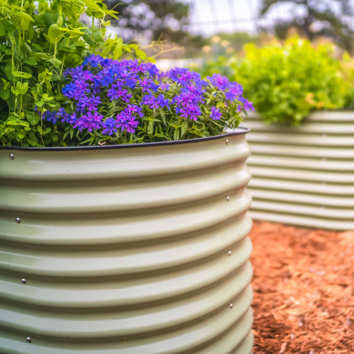 32" Tall Midsize Raised Garden Bed 6 in 1 Modular Metal - Tampa Home & Garden Store