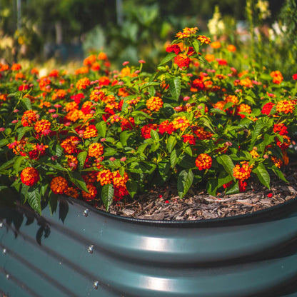 32" Tall Midsize Raised Garden Bed 6 in 1 Modular Metal - Tampa Home & Garden Store