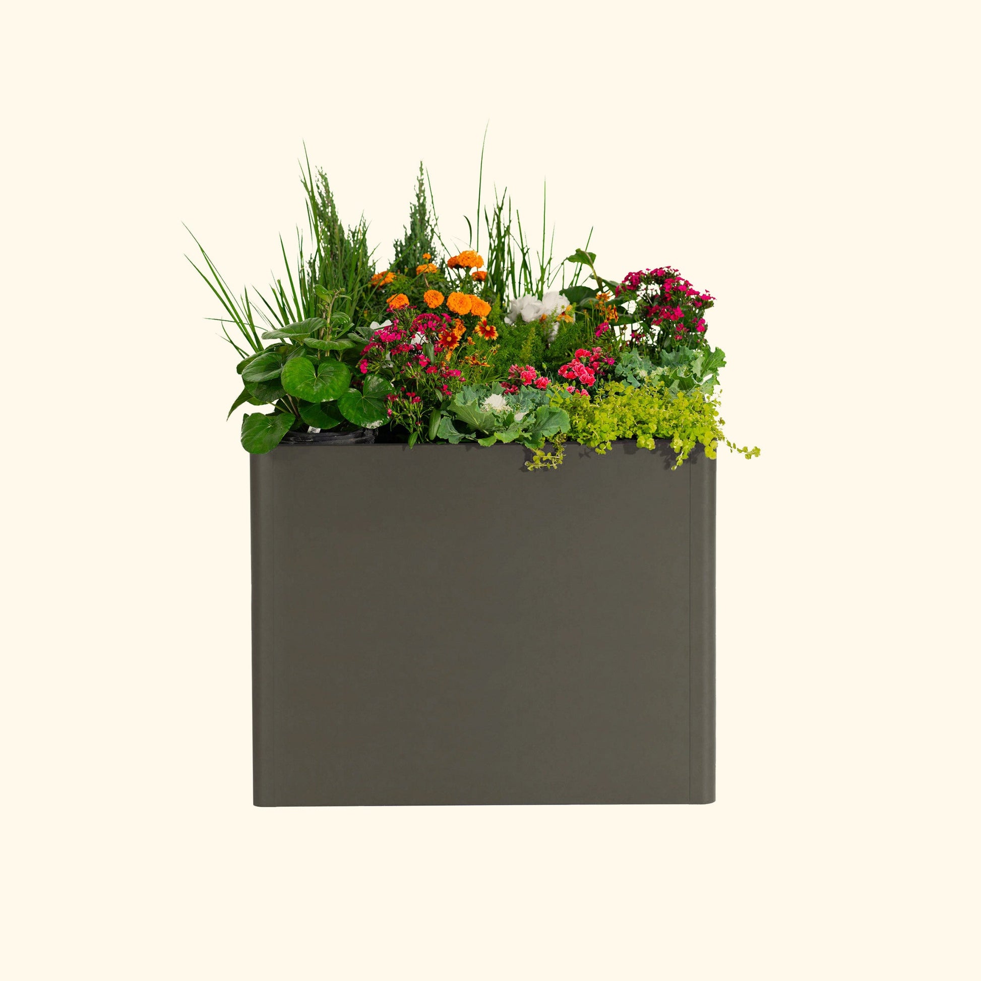 32" Tall Modern Raised Garden Bed Large 42" x 83" Metal - Tampa Home & Garden Store