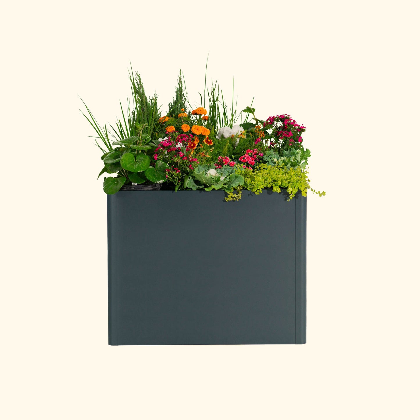 32" Tall Modern Raised Garden Bed Large 42" x 83" Metal - Tampa Home & Garden Store