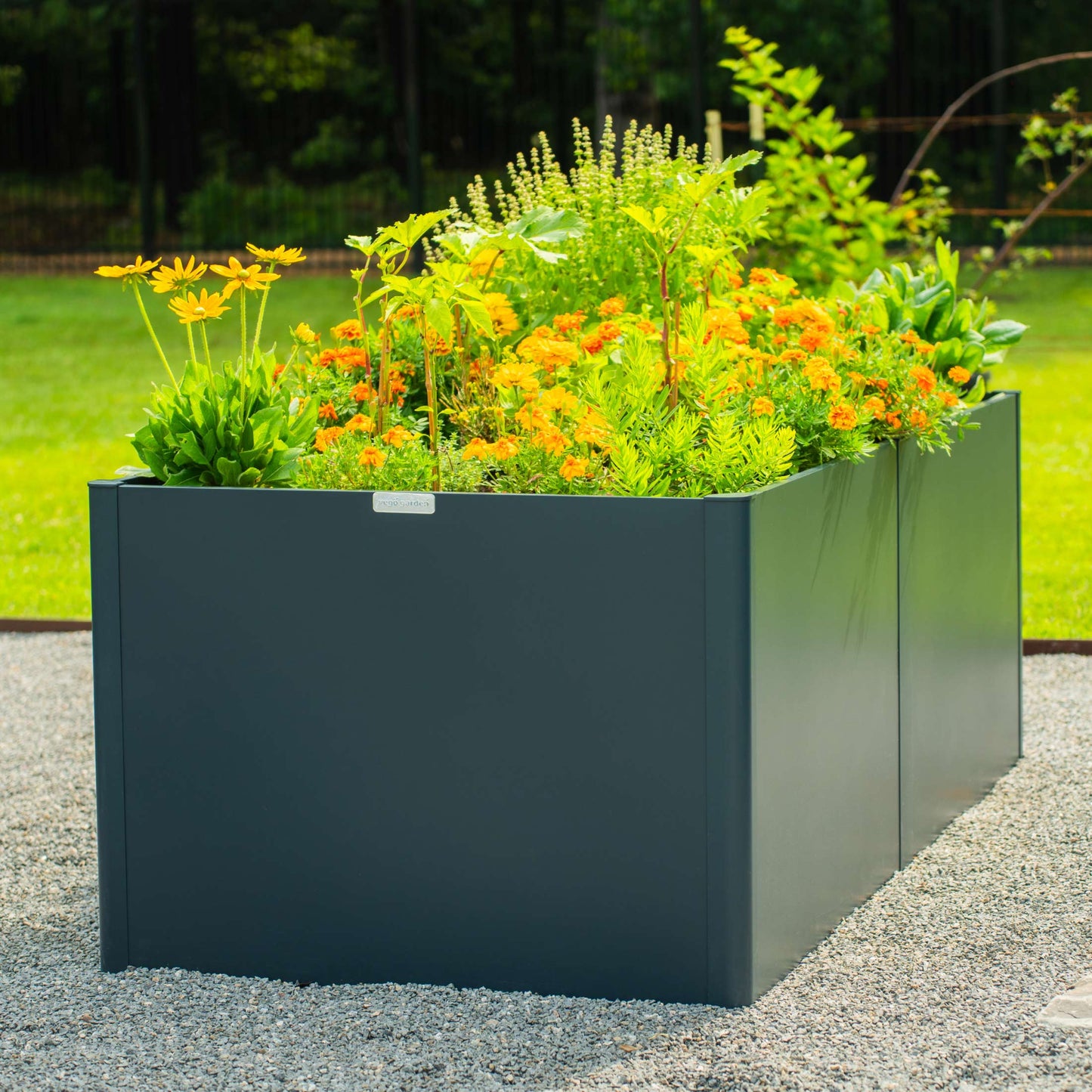 32" Tall Modern Raised Garden Bed Large 42" x 83" Metal - Tampa Home & Garden Store