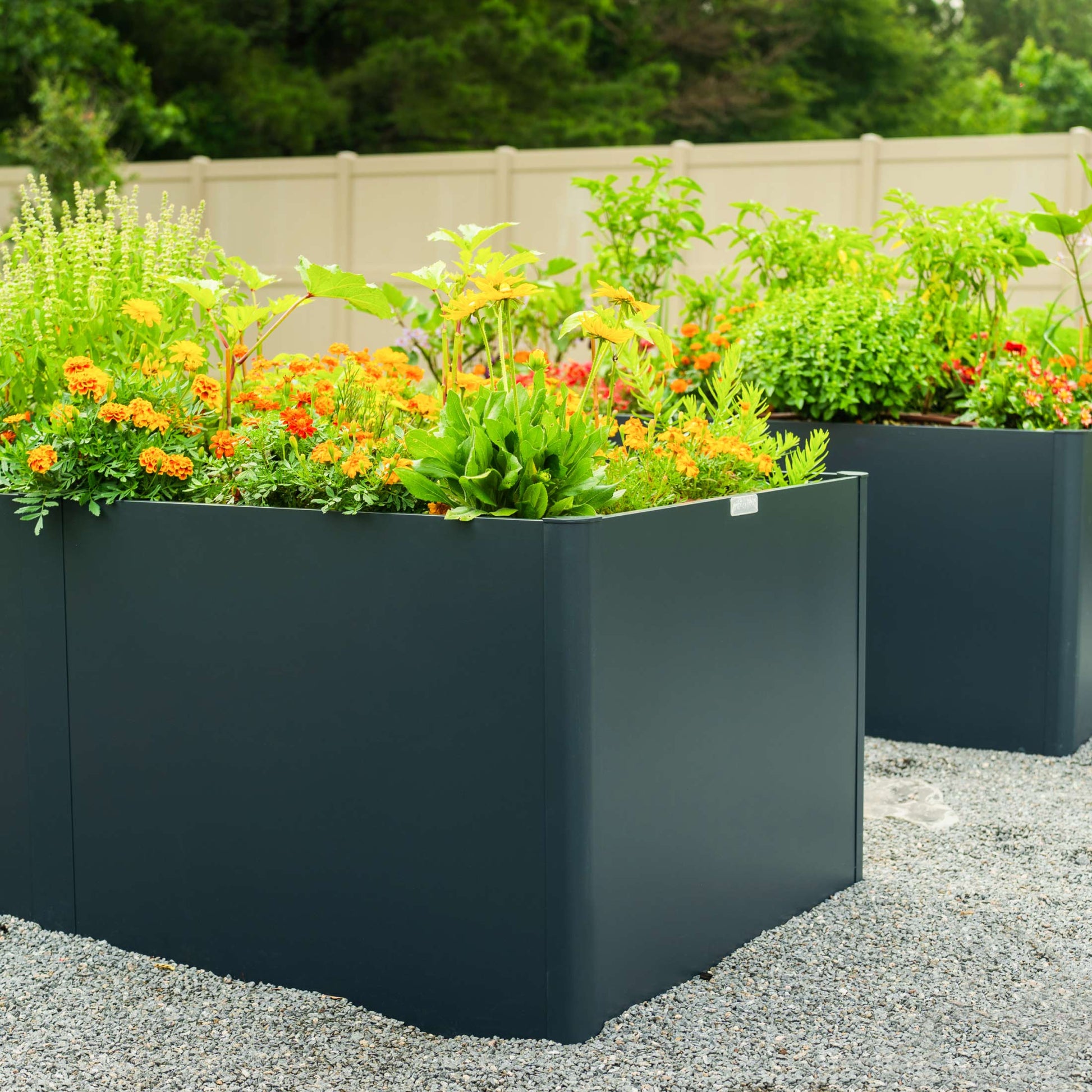 32" Tall Modern Raised Garden Bed Large 42" x 83" Metal - Tampa Home & Garden Store
