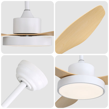 Ceiling fan HouseOfZazla white with 22W LED light, remote, 6 speeds, reversible DC motor on Tampa Home & Garden Store