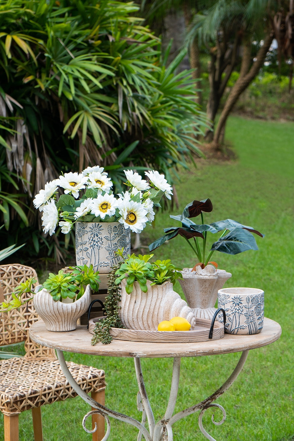 Nautilus shell planter in sand and cement with textured beige finish on a table with succulents on Tampa Home & Garden Store