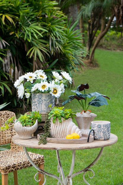 Nautilus shell planter in sand and cement with textured beige finish on a table with succulents on Tampa Home & Garden Store