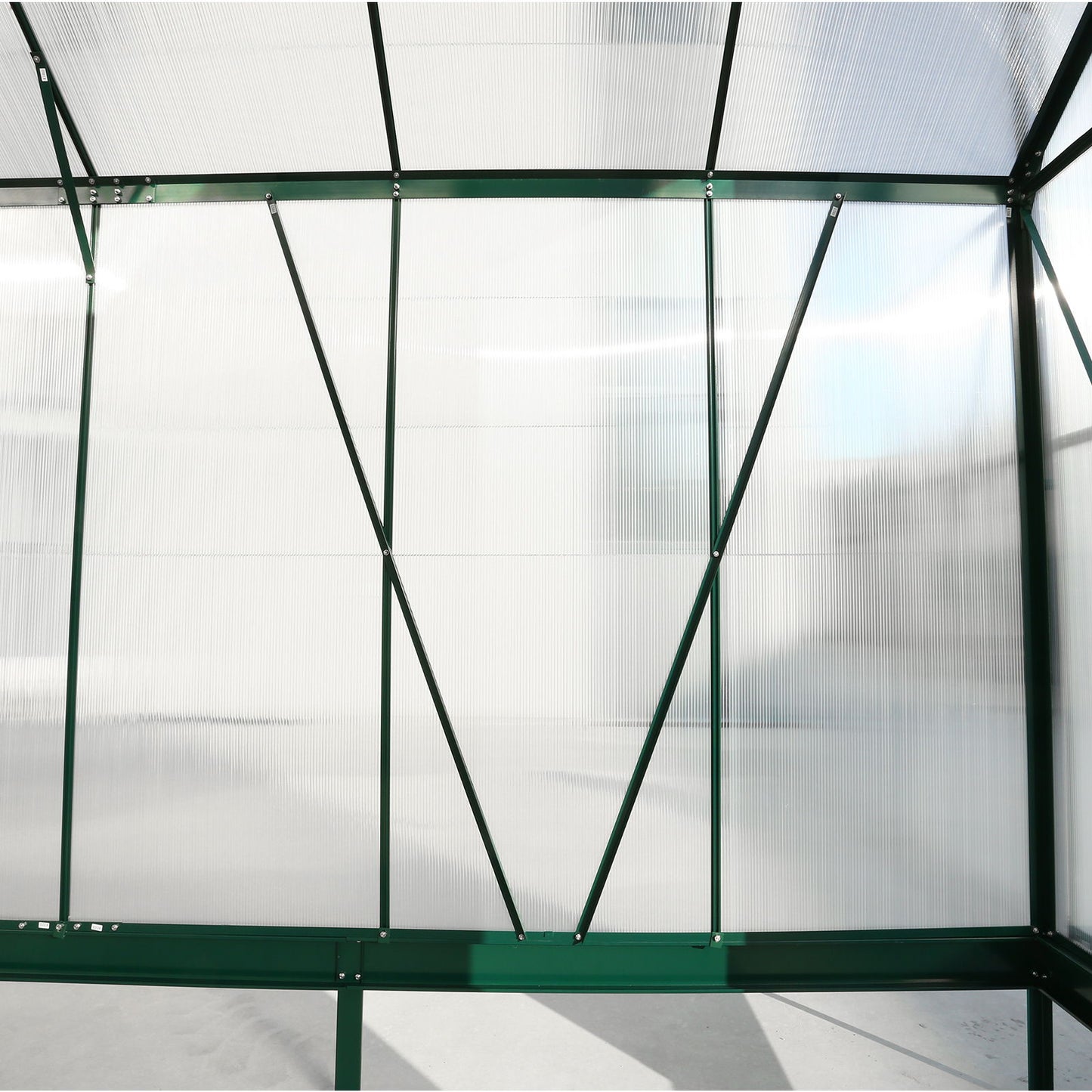 Heavy Duty Polycarbonate Greenhouse Kit and Door