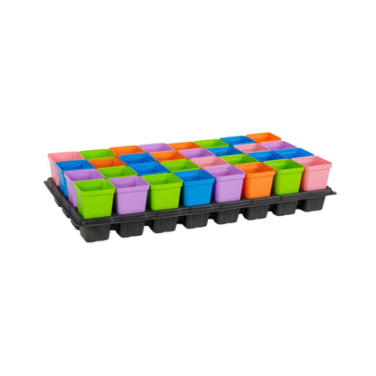 32 Cell Seed Tray Cell Plug Tray with Inserts
