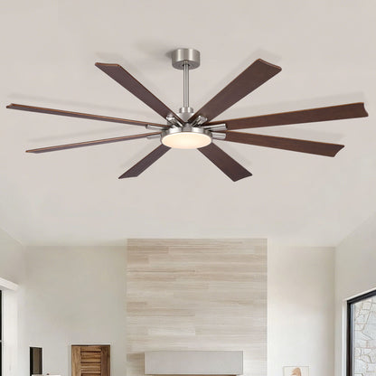 Ceiling fan HouseOfZazla 8-blade with dimmable LED light, remote, reversible DC motor on Tampa Home & Garden Store