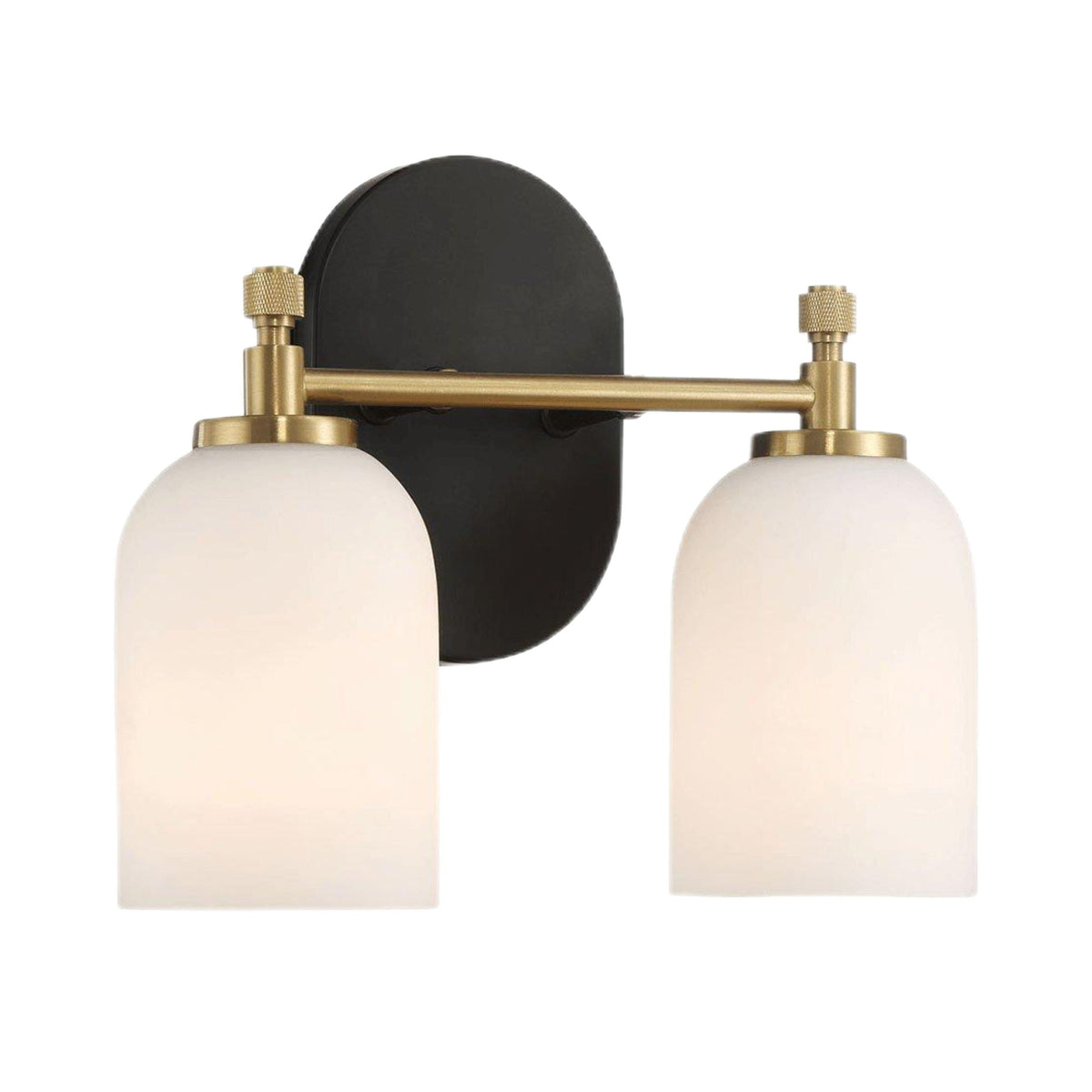 2-light vanity wall sconce with frosted glass shades, black backplate and brass accents on Tampa Home & Garden Store