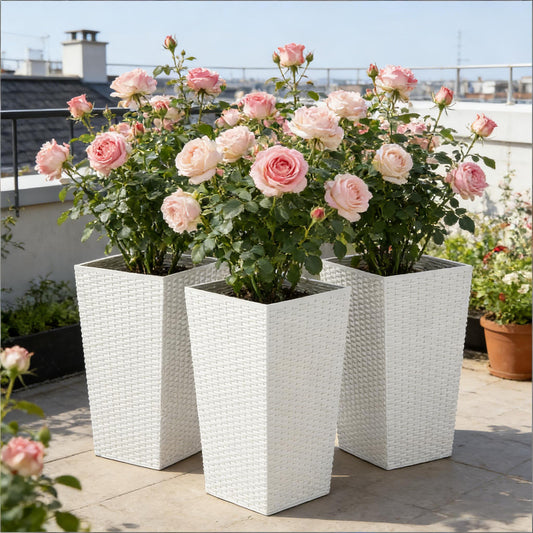 Tall woven white planters set of 3 by HouseOfZazla with pink roses on rooftop on Tampa Home & Garden Store
