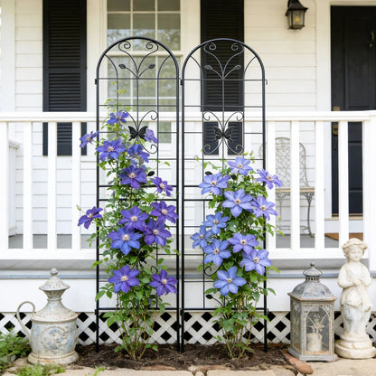 Garden Metal Trellis for Climbing Plants