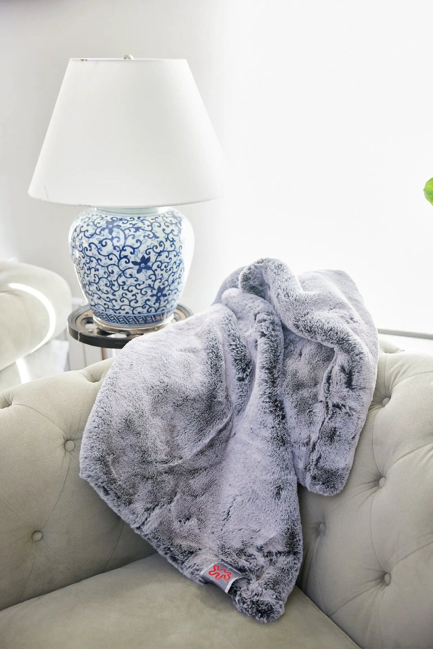 - image on Tampa Home & Garden Store