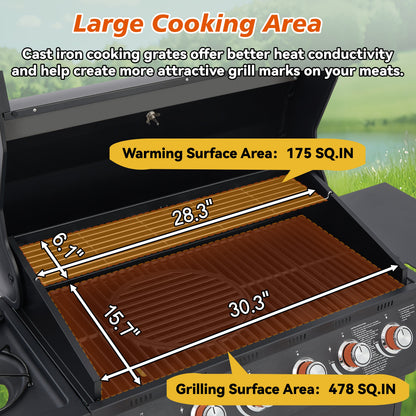 6 Burner Propane Gas Grill for a Backyard