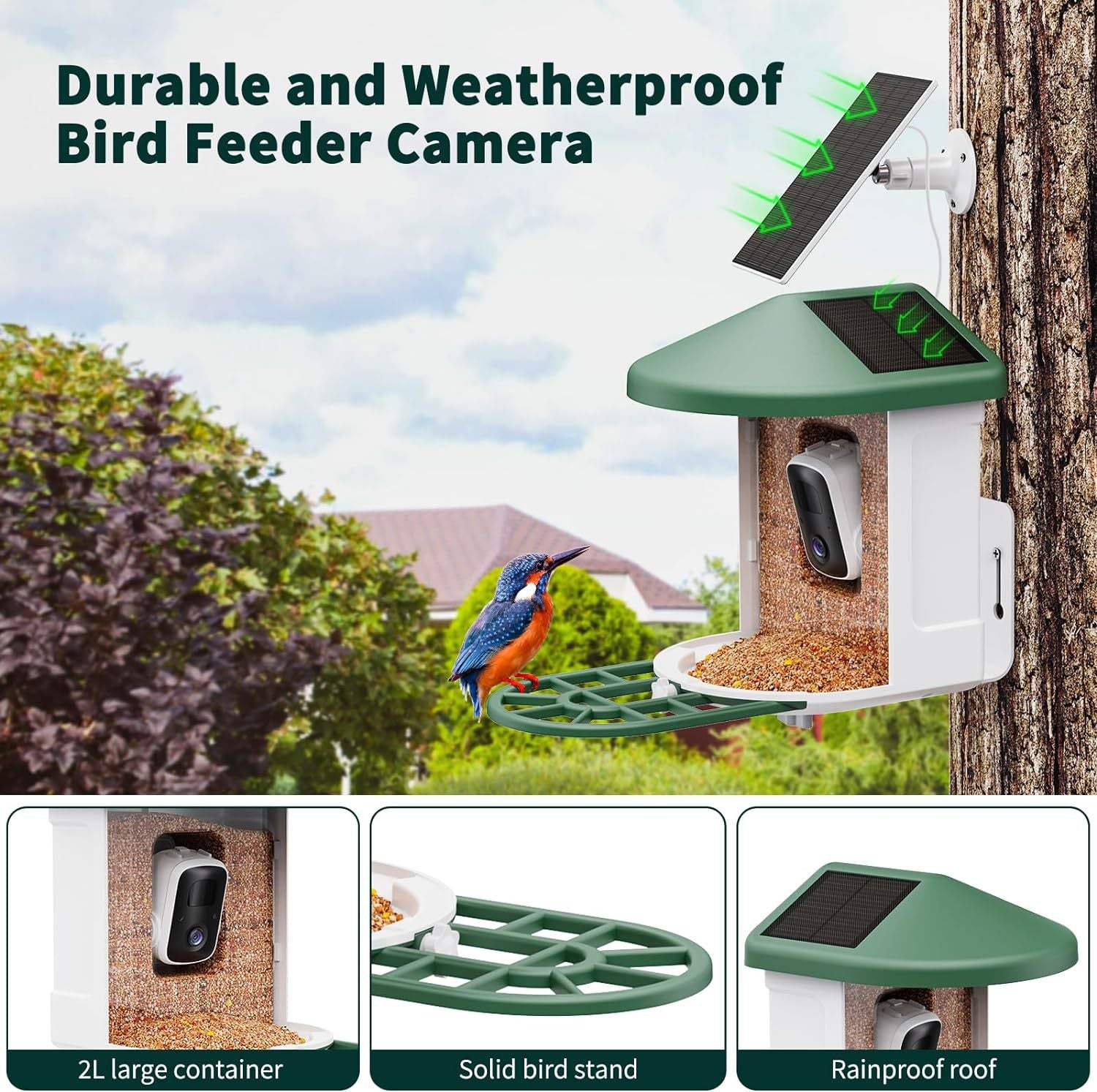 Smart Feeder Surveillance Wireless Camera bird feeder with solar panel and green roof on Tampa Home & Garden Store