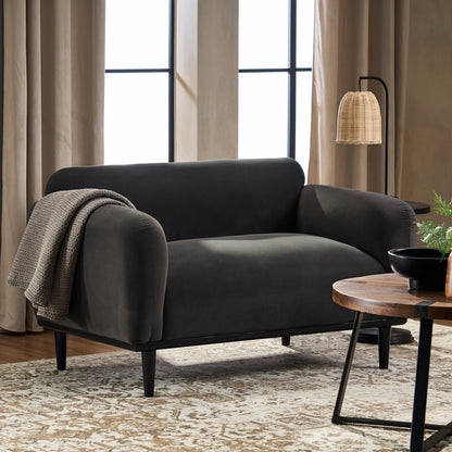 Contemporary Dark Loveseat and Velvet Sofa