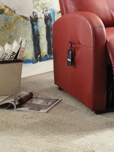 Ricardo - Power Motion Recliner With Lift red leather recliner by HouseOfZazla on Tampa Home & Garden Store