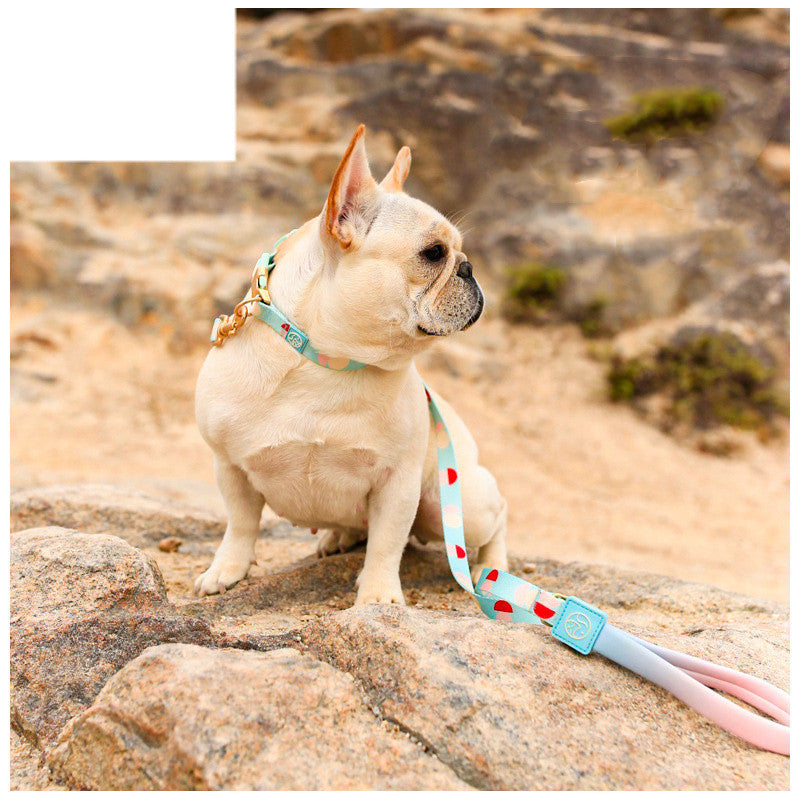 Fashion Y-shaped Chest Strap Dog Leash by Pet Zen in turquoise with heart pattern on Tampa Home & Garden Store