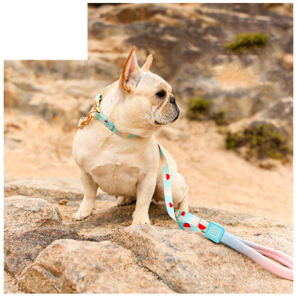 Fashion Y-shaped Chest Strap Dog Leash by Pet Zen in turquoise with heart pattern on Tampa Home & Garden Store
