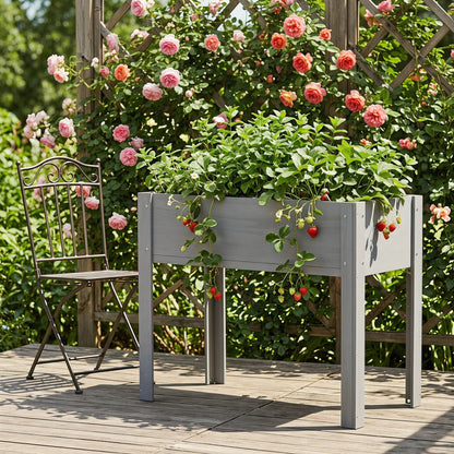 Raised Outdoor Garden Bed and Planter Box