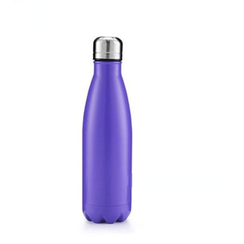 Stevvex purple stainless steel water bottle, double-wall insulated travel bottle with cap on Tampa Home & Garden Store