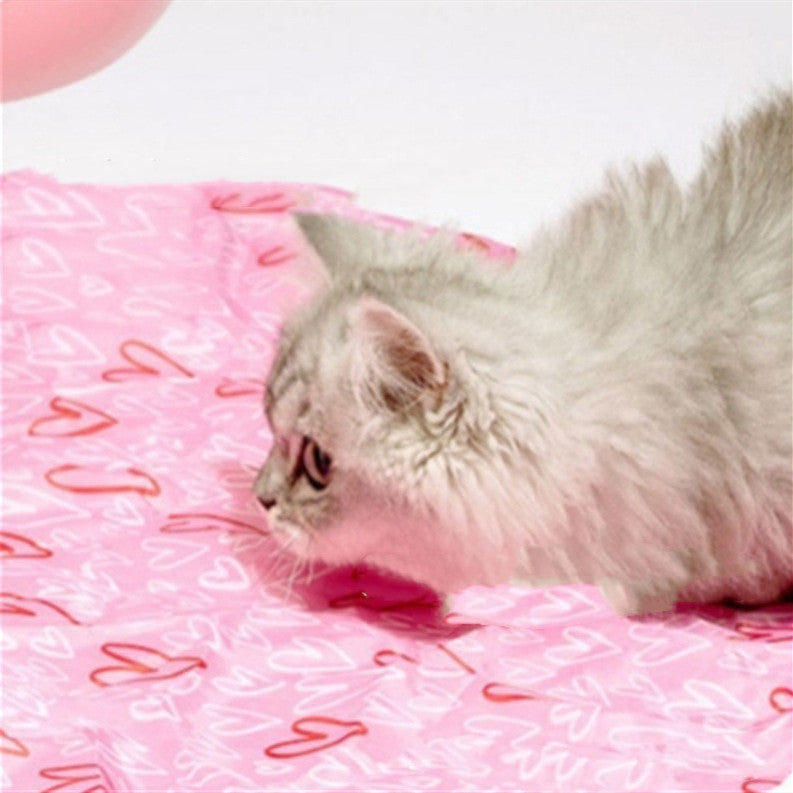 Automatic Funny Cat Toy product image: fluffy kitten on a pink heart-pattern blanket on Tampa Home & Garden Store