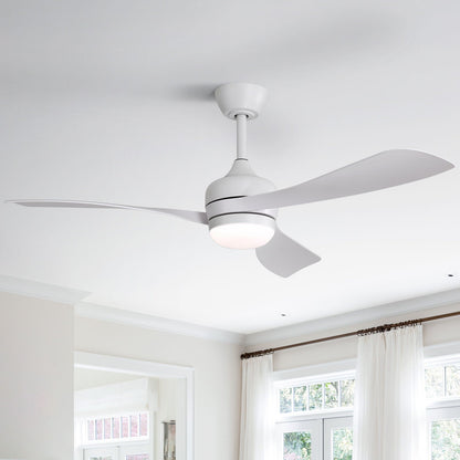 Ceiling fan white with three blades, remote control, reversible DC motor by HouseOfZazla on Tampa Home & Garden Store