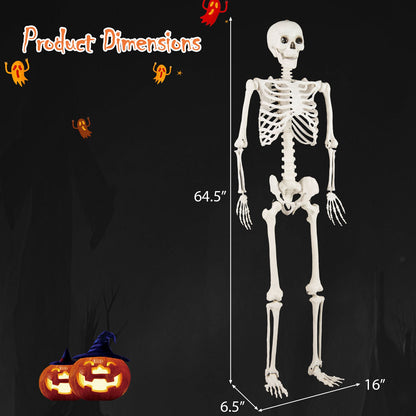 5.4 ft life-size Halloween skeleton cardboard cutout DirectDeals; white bones with pumpkin decor on Tampa Home & Garden Store