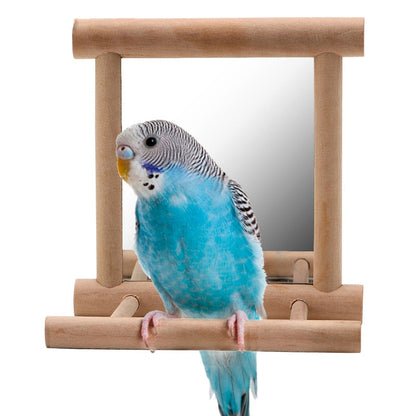 Bird stand with mirror, wooden frame, blue budgie on Tampa Home & Garden Store