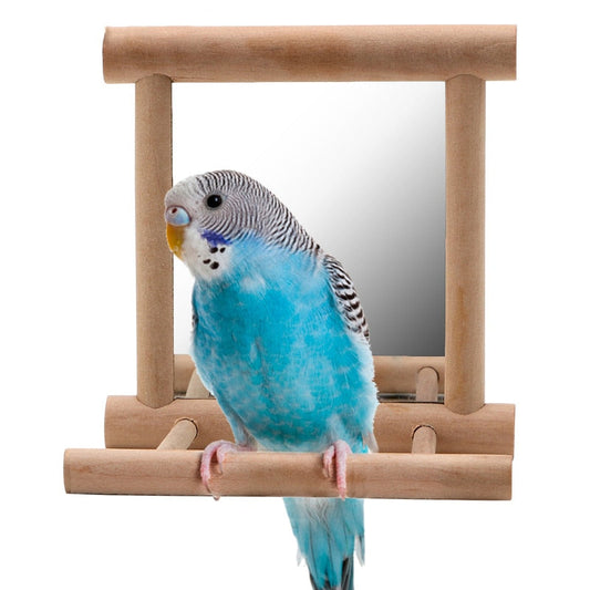 Bird stand with mirror, wooden frame, blue budgie on Tampa Home & Garden Store