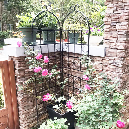 Metal Trellis For Climbing Plants And Vines