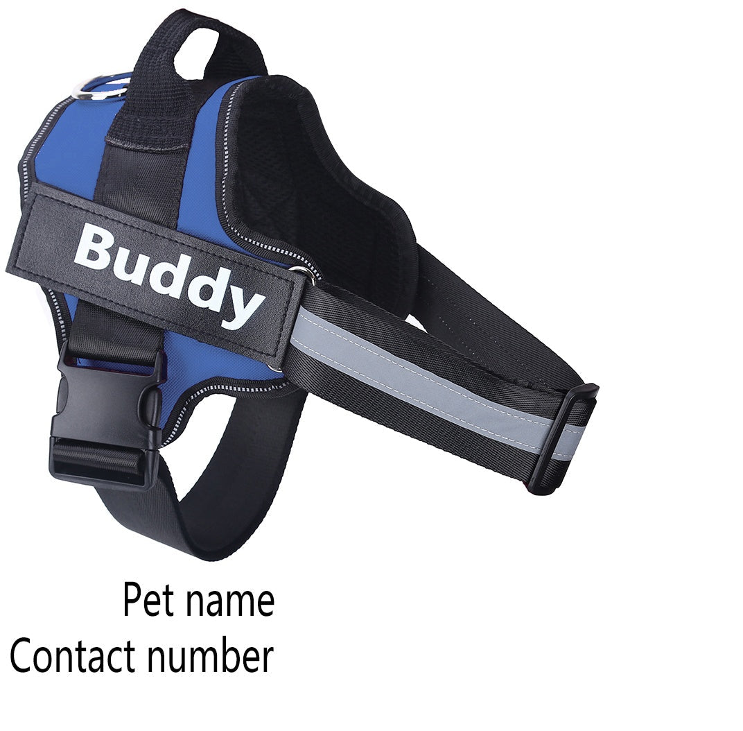 Pet Zen no-pull reflective dog harness in blue with adjustable straps and patch Buddy on Tampa Home & Garden Store