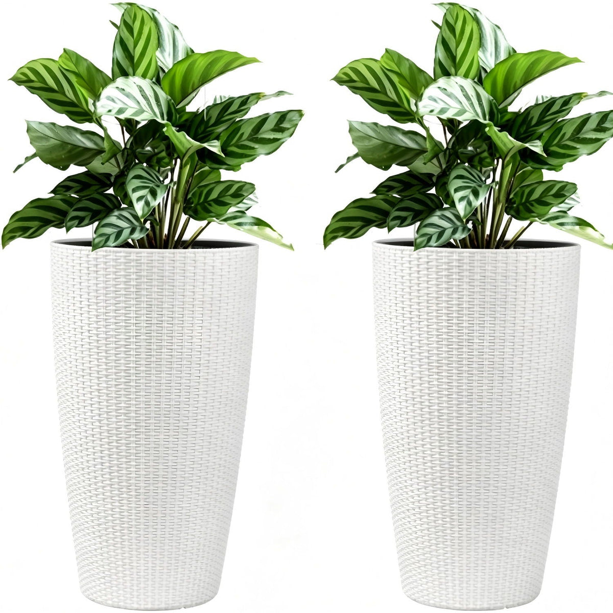 Tall planters set with water level monitor and auto watering white woven planters 2 HouseOfZazla on Tampa Home & Garden Store