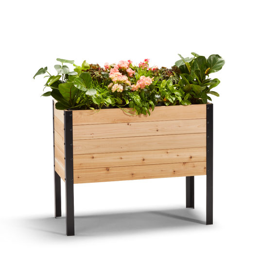 18" x 36" Elevated Cedar Garden Bed | 30" TALL