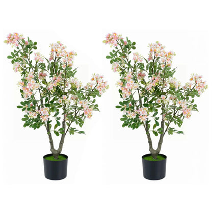 Impatiens Tree 36 Inch with Flowers Pink