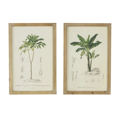 Tree framed print set of 2 with multicolor botanical illustrations in light wood frames on Tampa Home & Garden Store