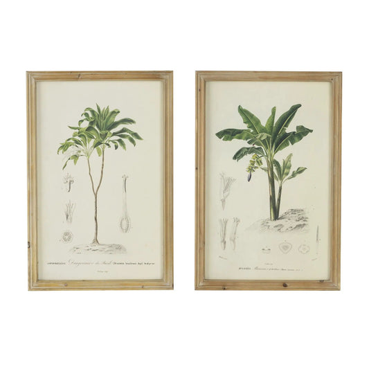 Tree framed print set of 2 with multicolor botanical illustrations in light wood frames on Tampa Home & Garden Store
