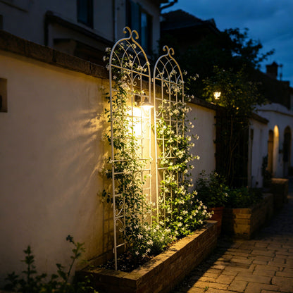 Metal Trellis For Climbing Plants And Vines