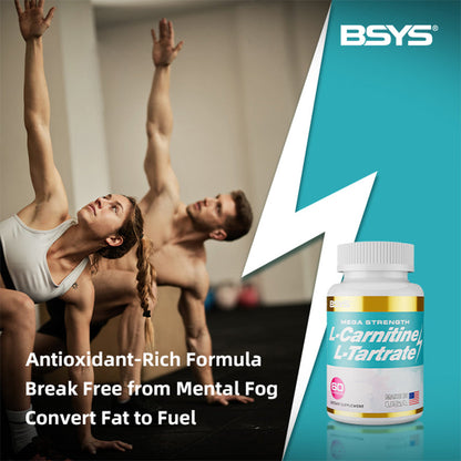 Perfecsy L-Carnitine L-Tartrate capsules; turquoise bottle with white cap beside BSYS teal panel on Tampa Home & Garden Store