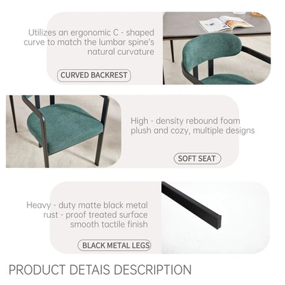Dining Arm Chairs Set of 2 with Matte Metal Legs