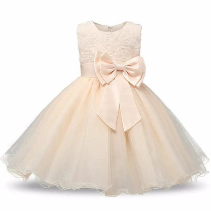 Princess Flower Girl Dress Summer Tutu and Party