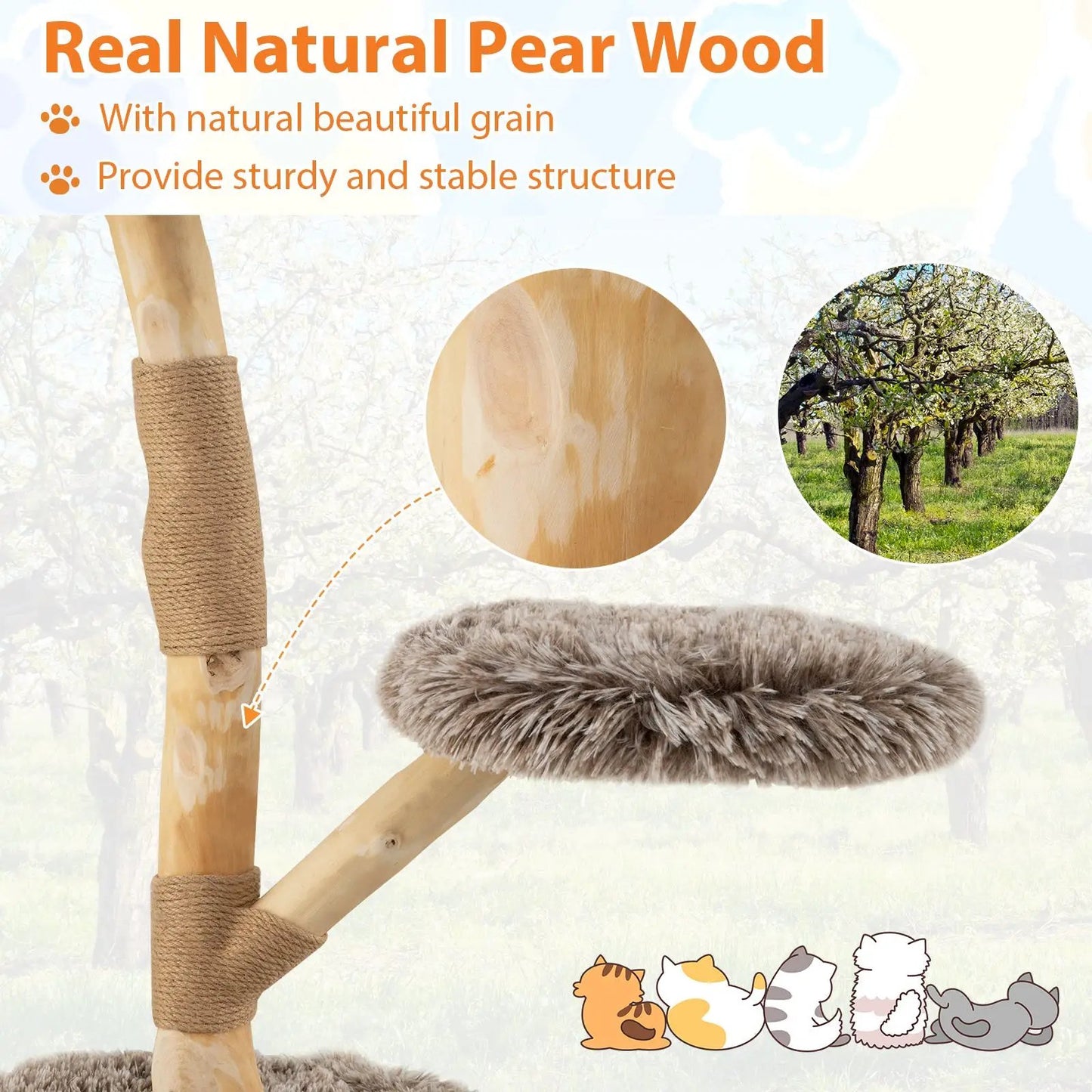 Modern Wooden Cat Tree With Perch and Jute Posts