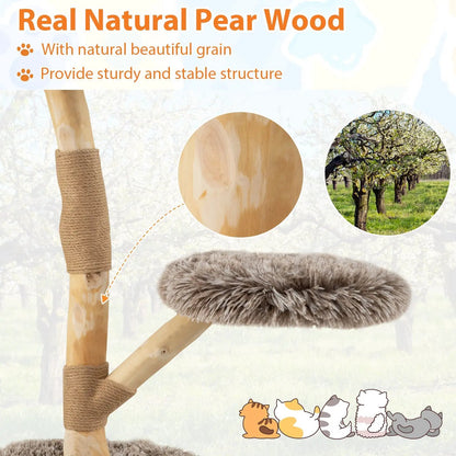 Modern Wooden Cat Tree With Perch and Jute Posts