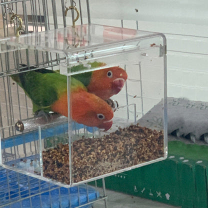 Acrylic bird feeder with two colorful lovebirds inside and visible seed mix on Tampa Home & Garden Store