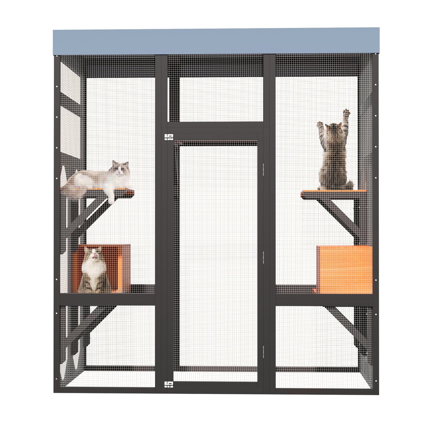 62.6in Solid Wood Pet Enclosure by HouseOfZazla with dark frame, wire mesh and roof cats inside on Tampa Home & Garden Store
