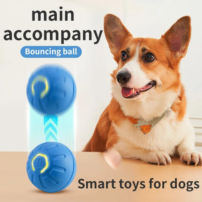Smart dog toy ball blue electronic interactive USB auto-moving ball by Sell My Stuff for Balls & Chasers on Tampa Home & Garden Store